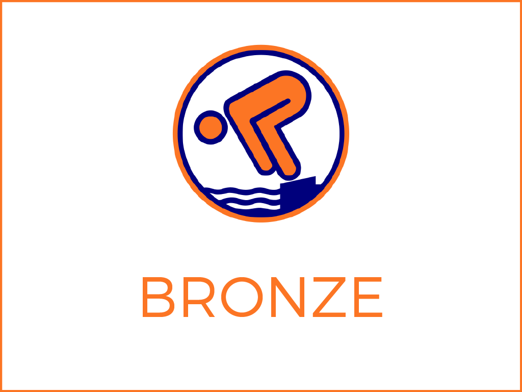 djsa bronze